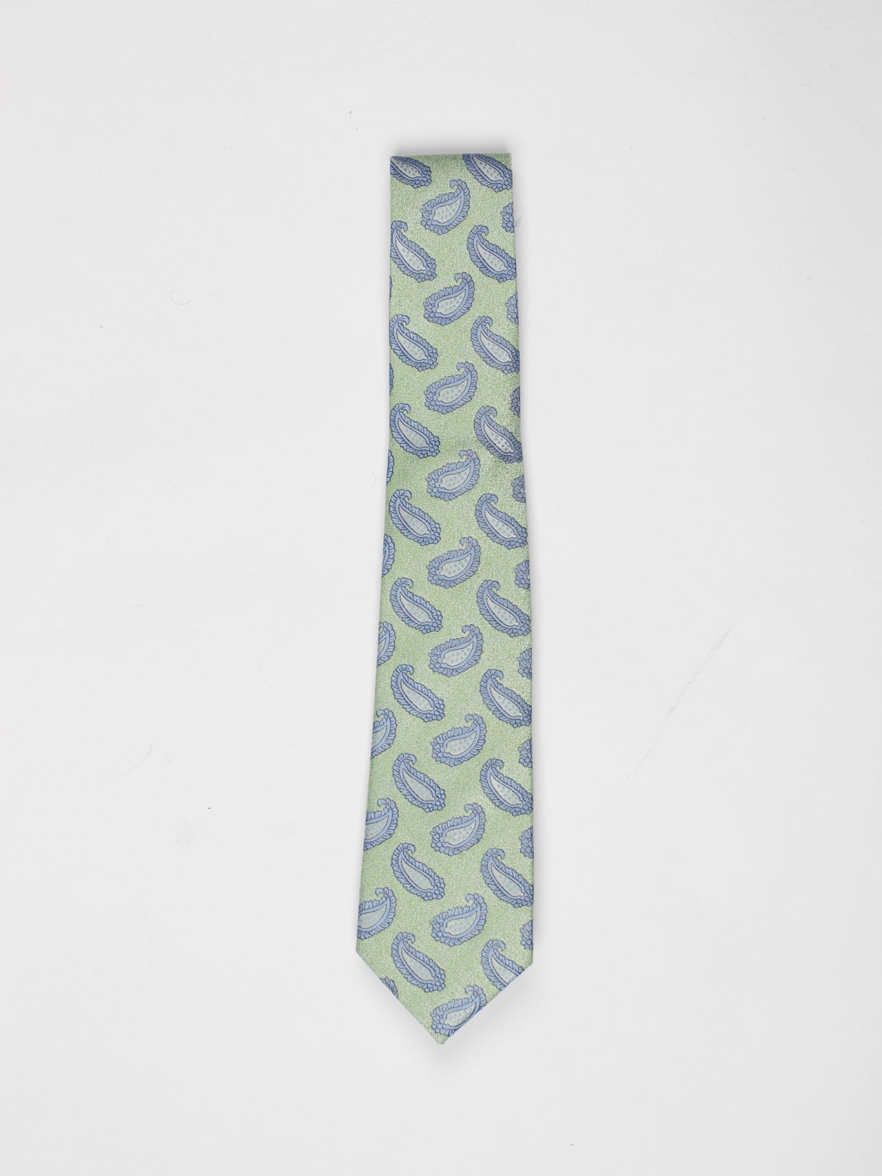 Mint Textured Paisley Tie