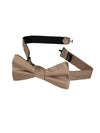 Champagne Gold Textured Bow